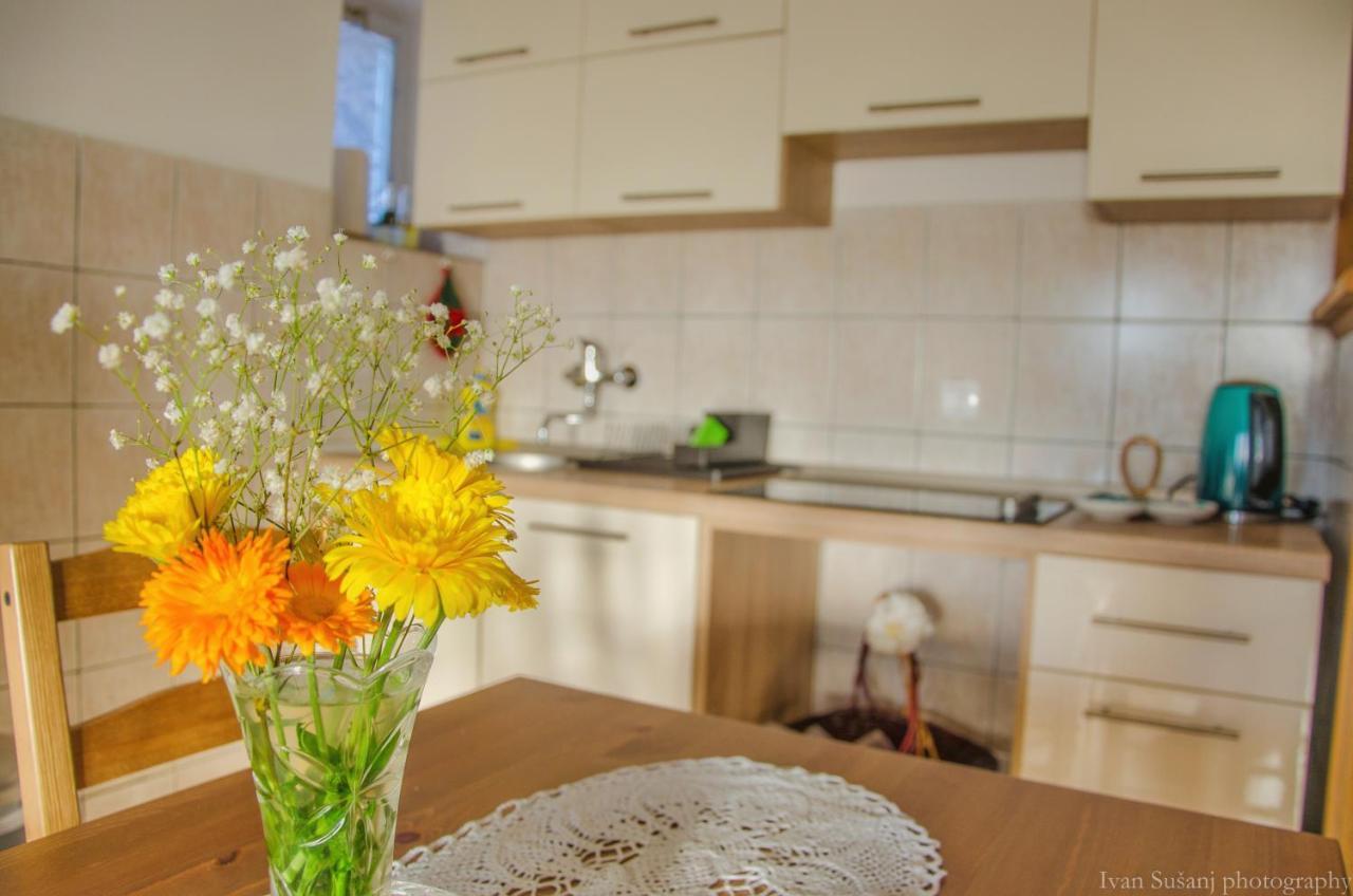 Apartment Rasce Ogulin Bagian luar foto