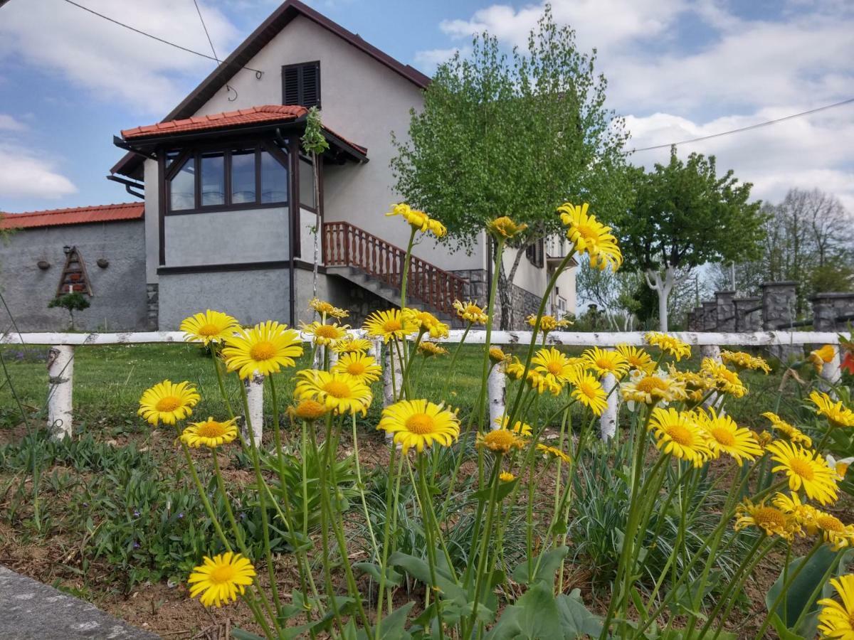 Apartment Rasce Ogulin Bagian luar foto